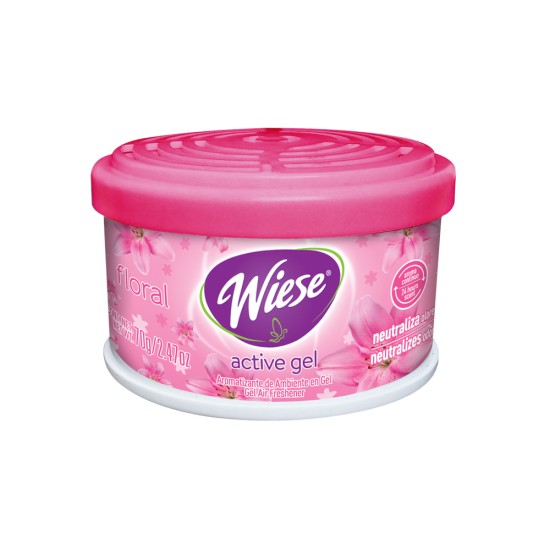 Aromatizante en Gel 70g